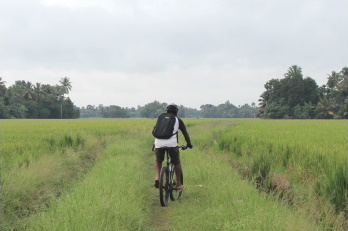 Alappuzha Cycle Tours