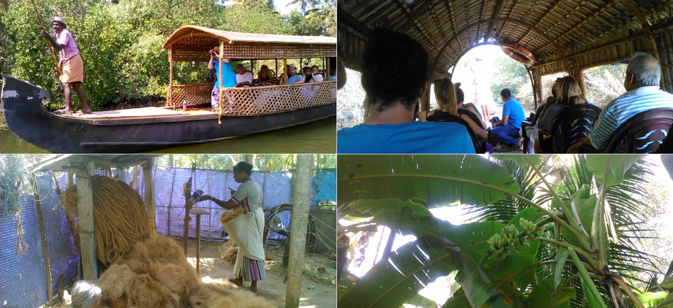 Bicycle & Backwater Village Cruise - Charming rural Kerala