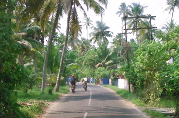 Kochi to Alappuzha Bike Tour