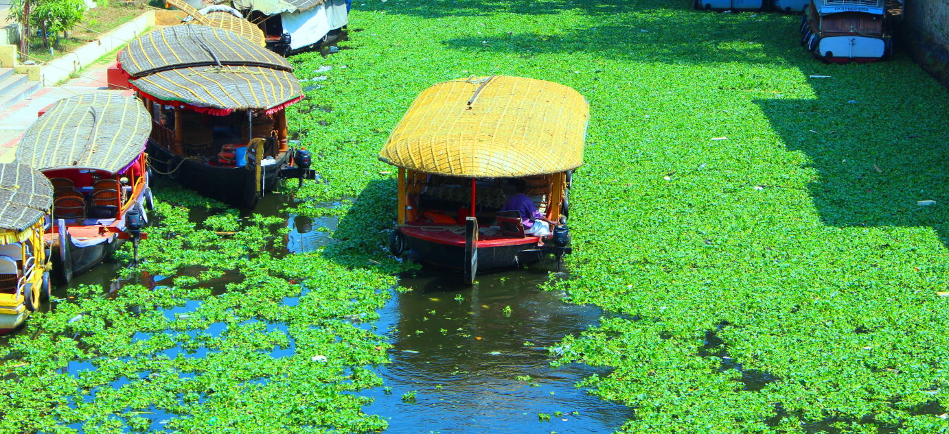 Shikara Cruise - Life in the narrow canals