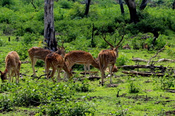 Essence of South Cycle Tour