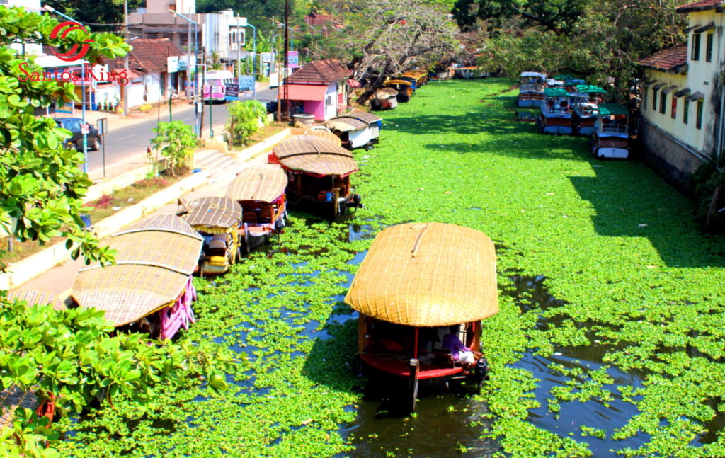 Charming Kerala