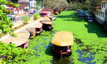 Charming Kerala
