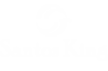 Santos King